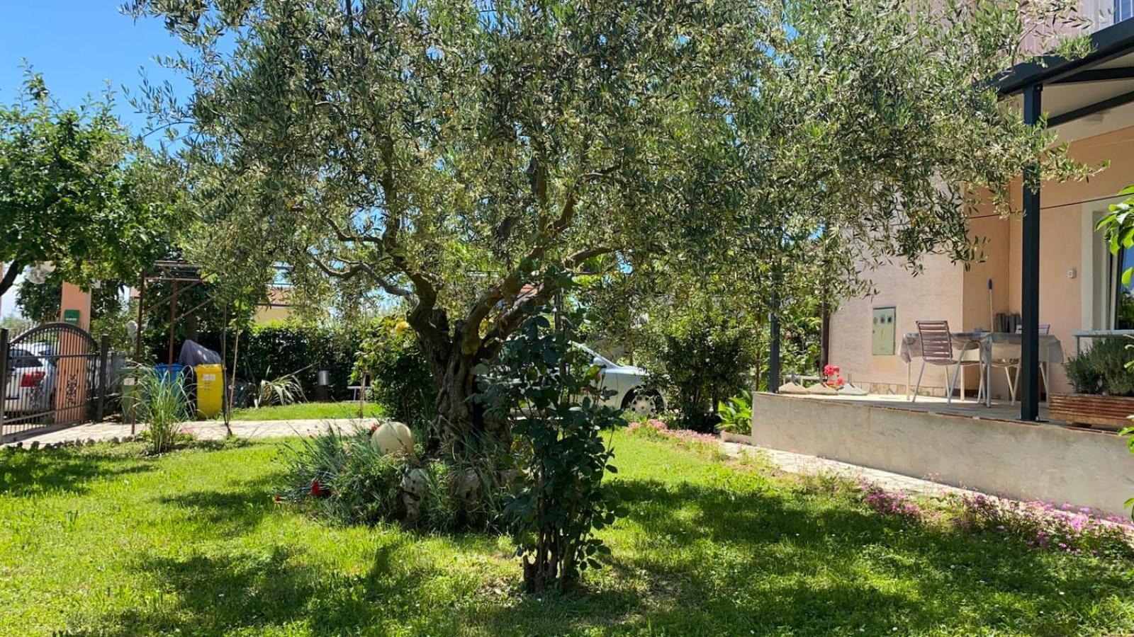 Apartment Gracijana Porec Bagian luar foto