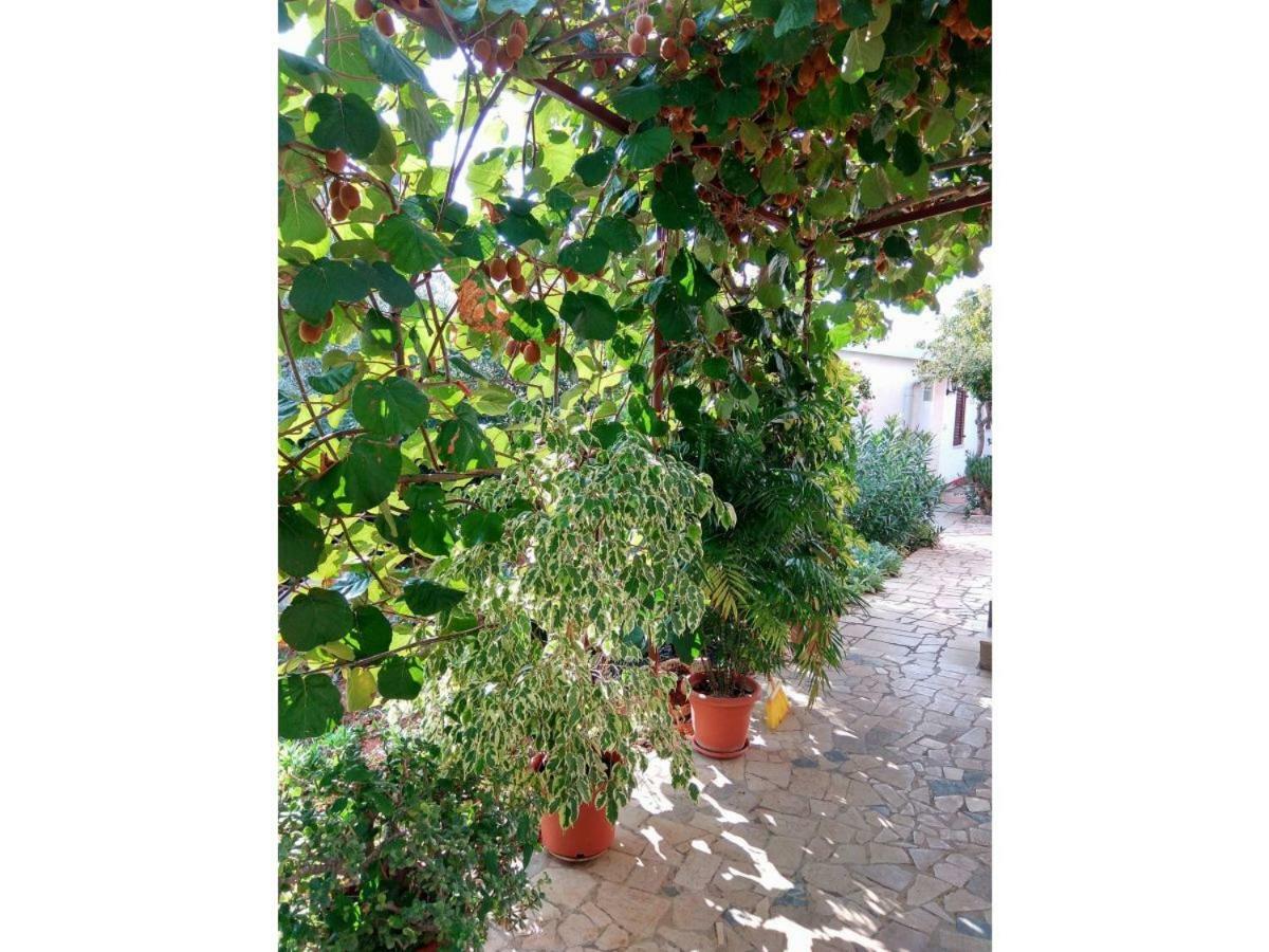 Apartment Gracijana Porec Bagian luar foto